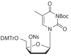 3-N-Boc-5′-O-dimethoxytrityl-3′-O-nosyl-